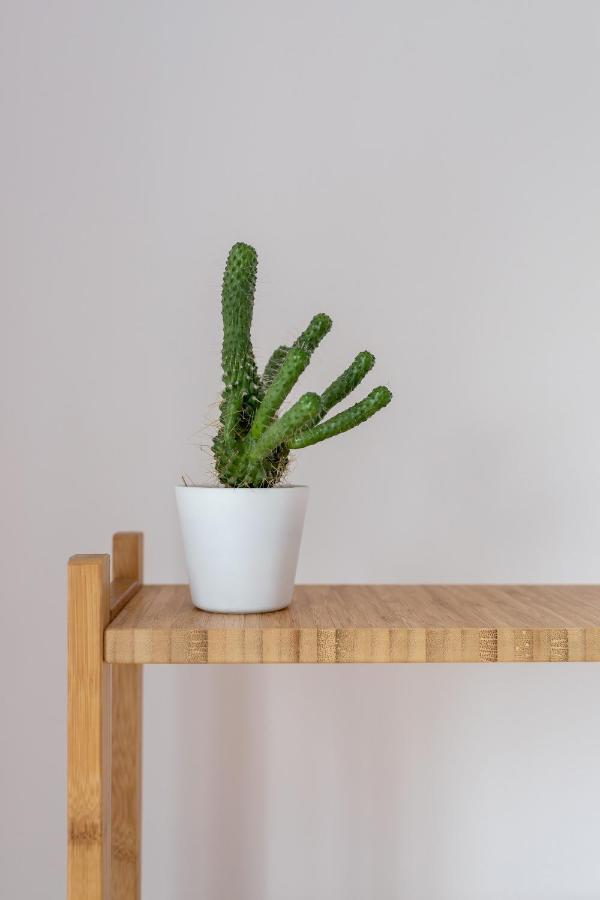 Radziwillowska Cracow Planty By Renters